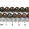 Natural Boulder Opal Beads Strands G-P544-A01-02-5