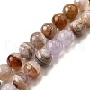 Natural Amethyst Lace Agate Beads Strands G-H312-C01-10mm-2