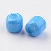 6/0 Baking Paint Glass Seed Beads X-SEED-S003-K17-2