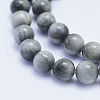 Natural Hawk's Eye Beads Strands G-L478-03-8mm-2