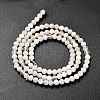 Natural Rainbow Moonstone Beads Strands G-RM2025-31-3mm-3