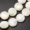 Natural Trochid Shell/Trochus Shell Beads Strands SSHEL-K016-03-3