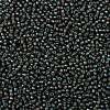 TOHO Round Seed Beads SEED-XTR08-0383-2