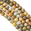 Natural Crazy Lace Agate Round Bead Strands G-M272-03-10mm-3