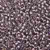 TOHO Round Seed Beads SEED-XTR11-0267-2