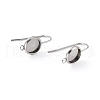 304 Stainless Steel Earring Hooks STAS-F271-01A-P-2