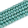 Electroplate Opaque Glass Beads Strands GLAA-T032-P4mm-AB12A-1