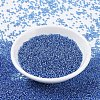 MIYUKI Round Rocailles Beads SEED-G007-RR0019-2