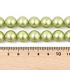 Polished Shell Pearl Round Beads Strands BSHE-XCP0001-13-4