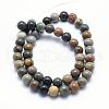 Natural Ocean Agate/Ocean Jasper Beads Strands G-G716-03-10mm-2