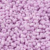 Glass Seed Beads SEED-K009-02A-06-3