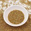 MIYUKI Delica Beads SEED-J020-DB2525-2