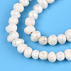 Natural Cultured Freshwater Pearl Beads Strands PEAR-N013-02K-4