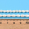 Natural Cultured Freshwater Pearl Beads Strands PEAR-N012-04W-01-6
