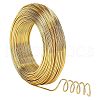  Round Anodized Aluminum Wire AW-NB0001-01D-G-1