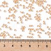 TOHO Round Seed Beads SEED-XTR11-0301-4