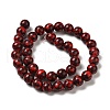 Synthetic Gemstone Dyed Beads Strands G-P507-03B-08-3