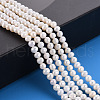 Natural Cultured Freshwater Pearl Beads Strands PEAR-N010-02B-01-5
