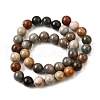 Natural Picture Jasper Beads Strands G-S390-07-10mm-3