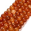 Dyed Natural Red Agate Beads Strands G-G203-10H-10mm-2