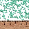 Baking Paint Glass Seed Beads X-SEED-S042-05B-60-4