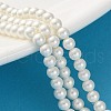 Shell Pearl Beads Strands BSHE-XCP0001-74A-1
