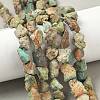 Raw Rough Natural HuBei Turquoise Beads Strands G-M453-D09-1