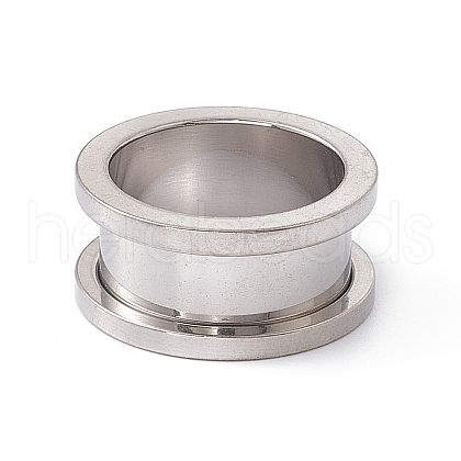 Non-Tarnish 304 Stainless Steel Ear Plugs Gauges EJEW-G317-01M-P-1