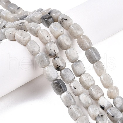 Natural Labradorite Beads Strands G-T138-85-1