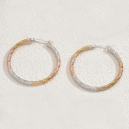 Stylish Stainless Steel Two Tone Twist Hoop Earrings TX1050-2-1