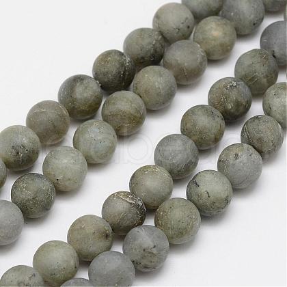 Natural Labradorite Frosted Bead Strands G-O155-04A-8mm-1