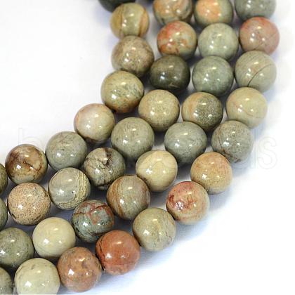 Natural Silver Leaf Jasper Round Bead Strands G-E334-8mm-04-1