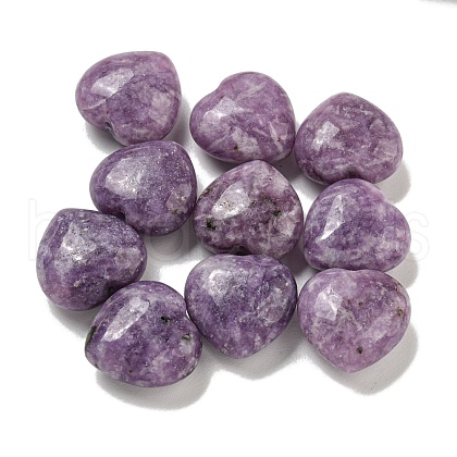 Natural Lepidolite Beads G-P531-A34-01-1
