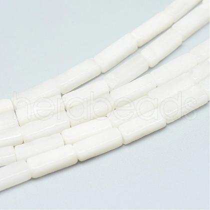 Natural White Jade Bead Strands G-R299-20-1