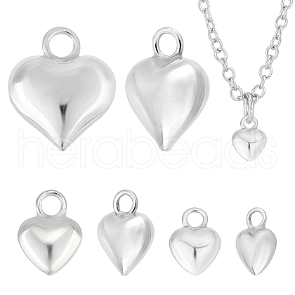   6Pcs 3 Style 925 Sterling Silver Charms STER-PH0001-84-1