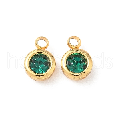 304 Stainless Steel Charms STAS-Z115-01G-17-1