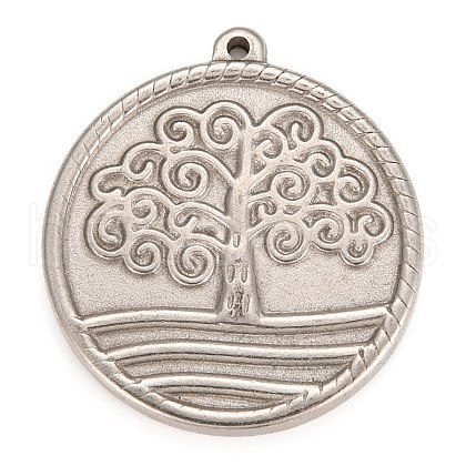 Non-Tarnish 304 Stainless Steel Pendants STAS-Z016-17P-1