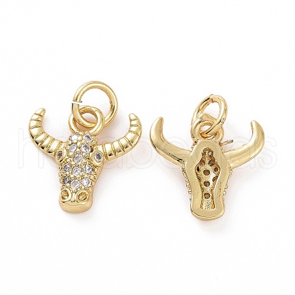 Brass Micro Pave Cubic Zirconia Charms KK-E068-VF058-1