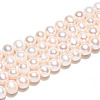 Natural Cultured Freshwater Pearl Beads Strands PEAR-N013-07Q-2
