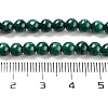 Natural Malachite Beads Strands G-I001-4mm-01-2
