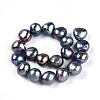 Natural Cultured Freshwater Pearl Beads Strands PEAR-N014-10E-2