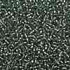 TOHO Round Seed Beads X-SEED-TR08-2202-2