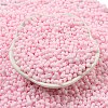 Macaron Color Opaque Frosted Glass Seed Beads X1-SEED-K009-12B-09-2