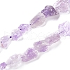 Natural Amethyst Beads Strands G-I283-E03-1