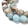 Dyed Natural Howlite Imitation Shoushan Stone Beads Strands G-G203-08F-4