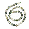 Natural Tree Agate Beads Strand G-I376-D11-01-2