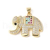 Brass Micro Pave Colorful Cubic Zirconia Pendants ZIRC-I071-01G-02-1