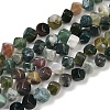 Natural Indian Agate Beads Strands G-A257-A12-01-2