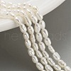 Natural Cultured Freshwater Pearl Beads Strands PEAR-P062-01D-1