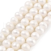 Natural Cultured Freshwater Pearl Beads Strands PEAR-C003-12E-2